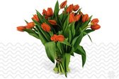 Verse bloemen boeket TULPEN (cadeau voor haar) - Oranje - 10 per bos (brievenbusbloemen)