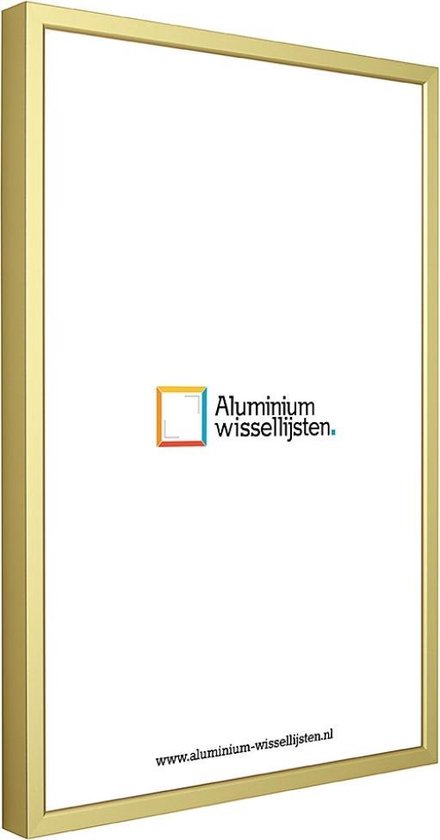 Aluminium Wissellijst A3 29.7 x 42 Mat Champagne Goud - Ontspiegeld Glas - Professional