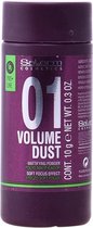 Volumegevende Kuur Volume Dust Salerm (10 g)