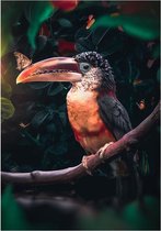 Toucan Plexiglas 80x120 cm botanische jungle dieren wanddecoratie