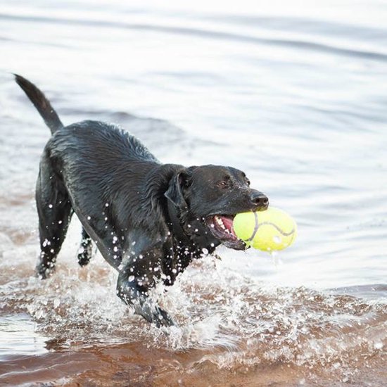 Kong air football medium 1 PC - Ballon - Jaune - Jouet pour chat - 150 x 130 x 64 mm