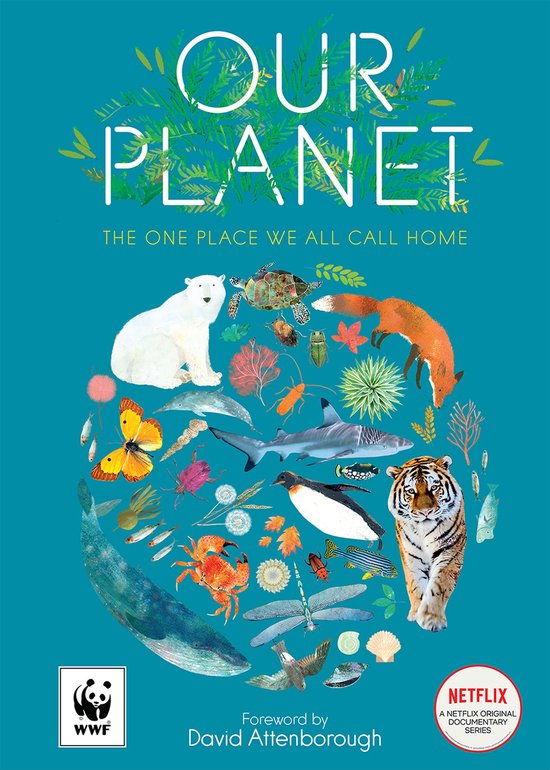 Our Planet - cover
