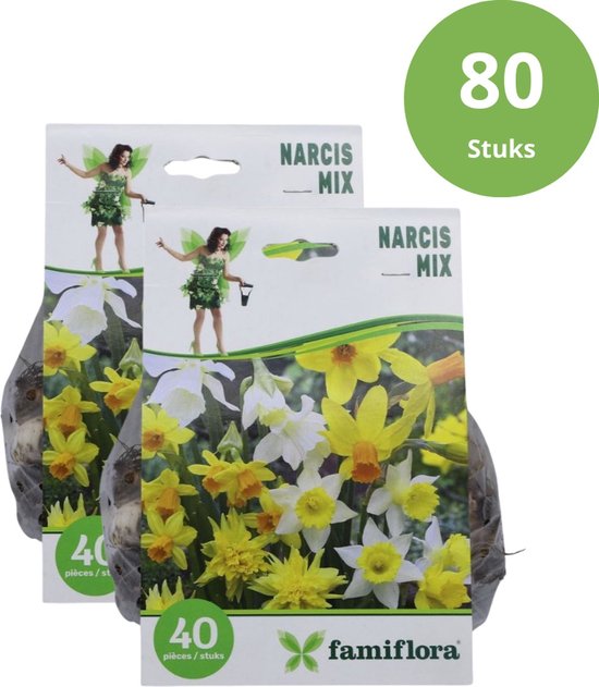 Famiflora Jonquille Mix - 80 bulbes de fleurs (2x 40) - Floraison printanière - Bulbes de jonquilles