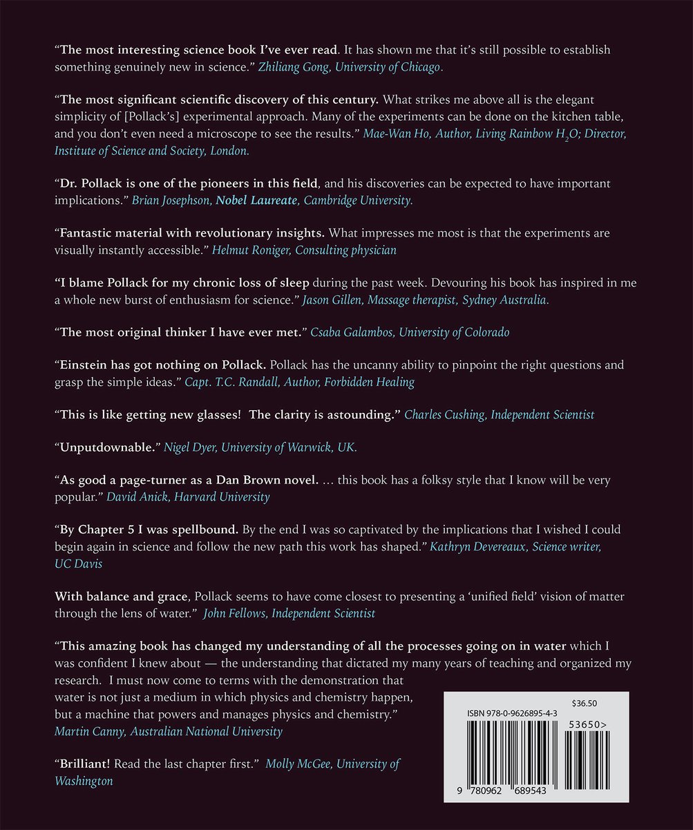 Fourth Phase Of Water Beyond Solid - back cover