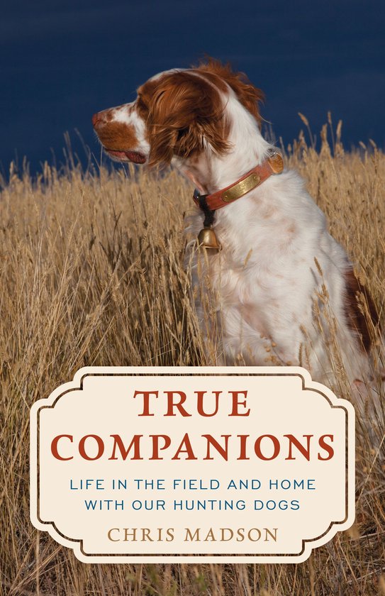 True Companions - cover