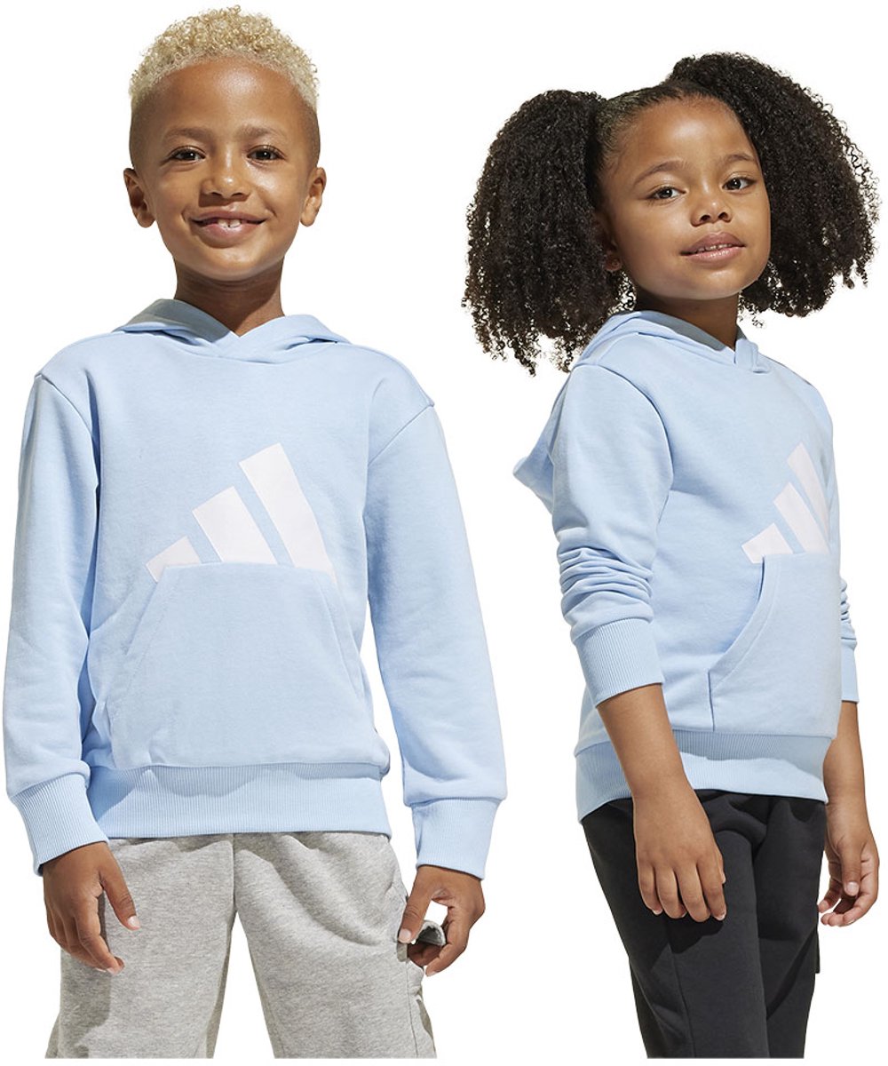 Adidas Essentials Big Logo Hoodie 4-5 Years Jongen Blauw