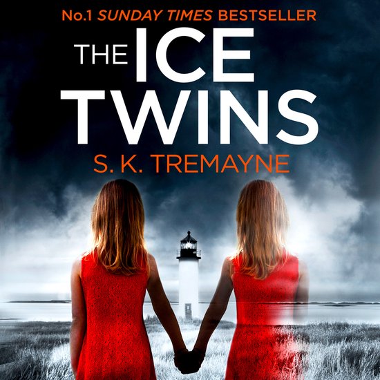 The Ice Twins - cover
