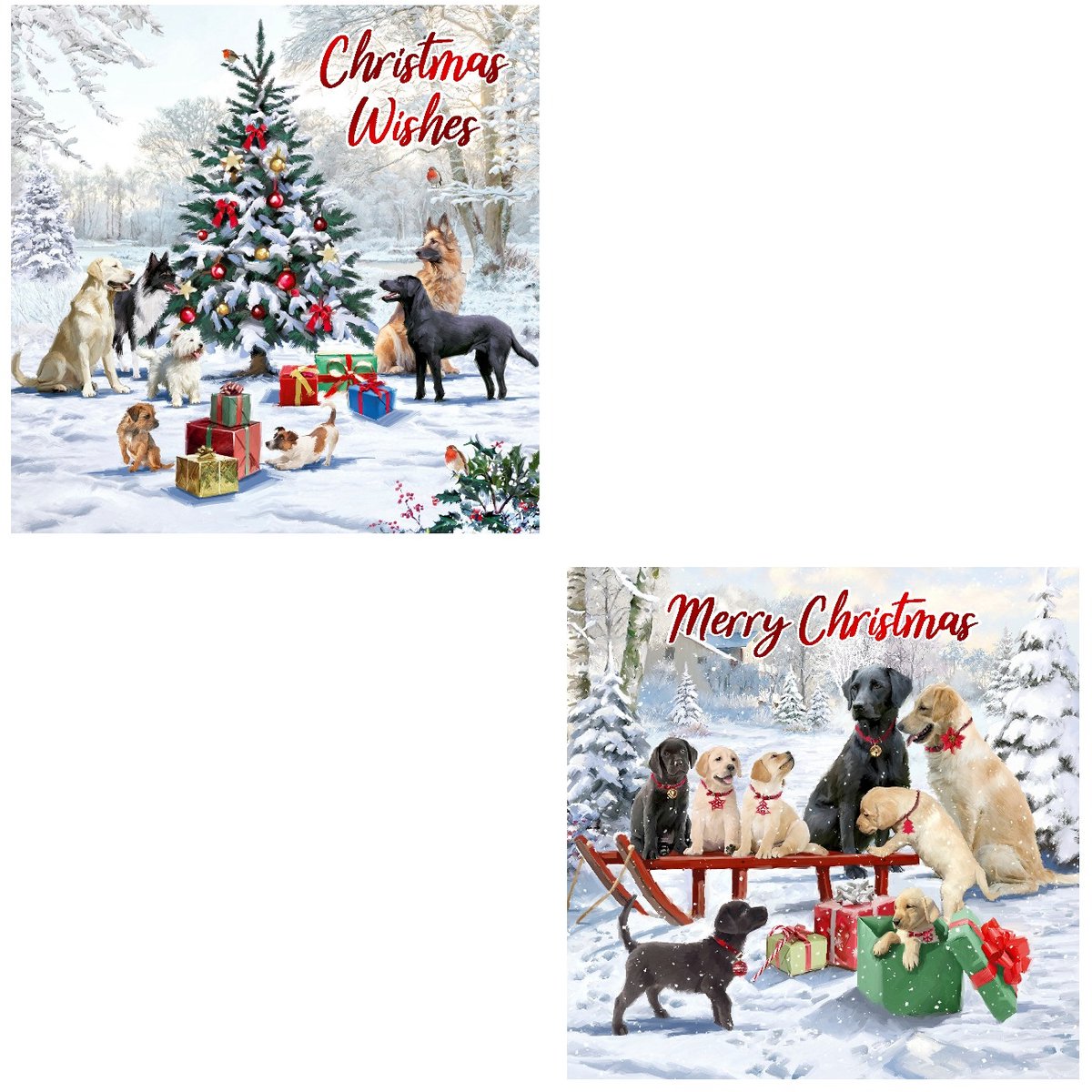 12 Traditionele Engelstalige dubbele Kerstkaarten met honden - 14 x 14 cm