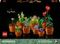 Doos van LEGO Botanicals Tiny Plants met 9 verschillende planten in potten.