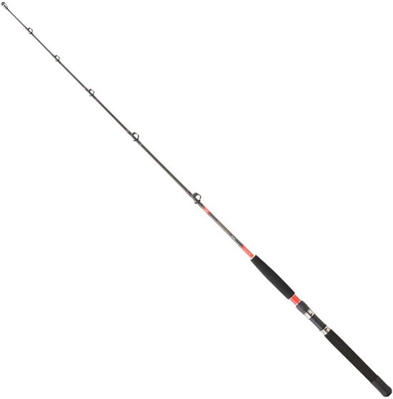 Canne à pêche à la traîne Daiwa Megaforce Argent 1,70 m / 50-80 lbs