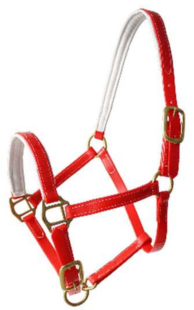 Lexhis Biothane Halster Rood Cob