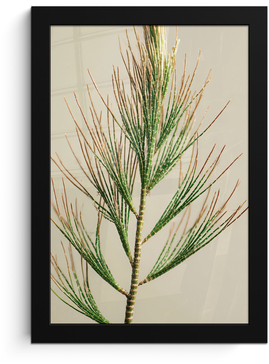 FrameYourWall Poster in lijst - Fotolijst 20x30 cm - Posters - Dennentak - Naaldvormige bladeren - Lichtgroen - Posterlijst zwart - Decoratie - Wanddecoratie woonkamer - Muurdecoratie slaapkamer