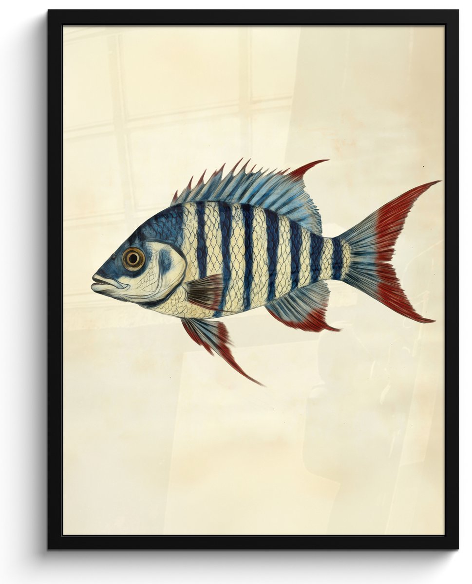 FrameYourWall Poster in lijst - Fotolijst 60x80 cm - Posters - Gestreept - Donkerblauw - Rugvin - Vis - Posterlijst zwart - Decoratie - Wanddecoratie woonkamer - Muurdecoratie slaapkamer Vis - Rugvin