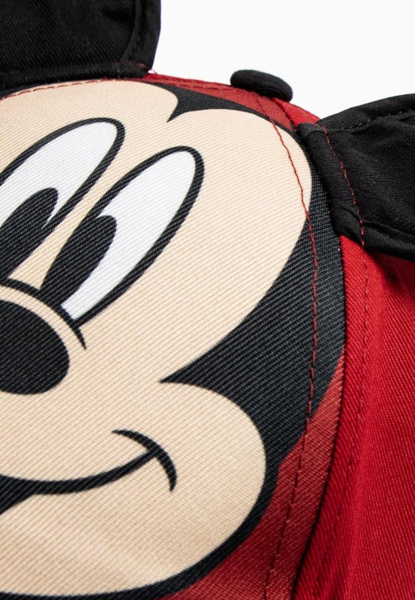 Baseball Pet Mickey