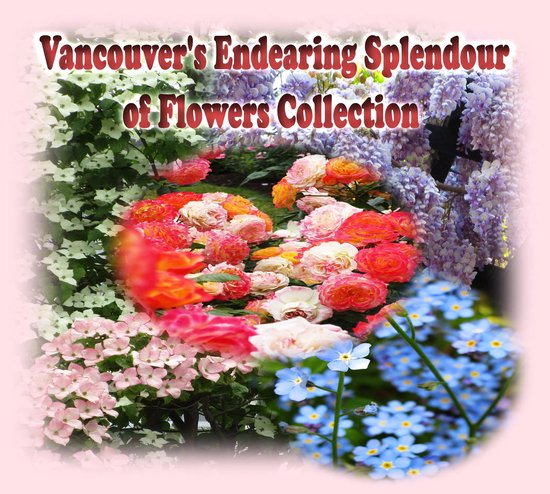 Vancouver's Endearing Seasons of Flowers Collection Guide 2  ... - cover