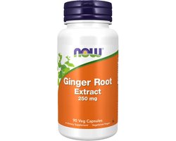 Ginger Root Extract - 90 v-caps