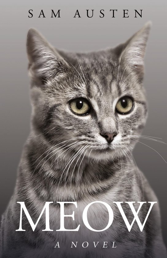 The Meow Library- Meow - cover