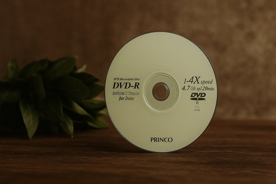 Princo - DVD-R 4.7GB - 1-4x snelheid - 120 min opslag | bol