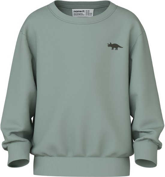 Lichtgroene sweater met een dinosaurusprint op de borst.