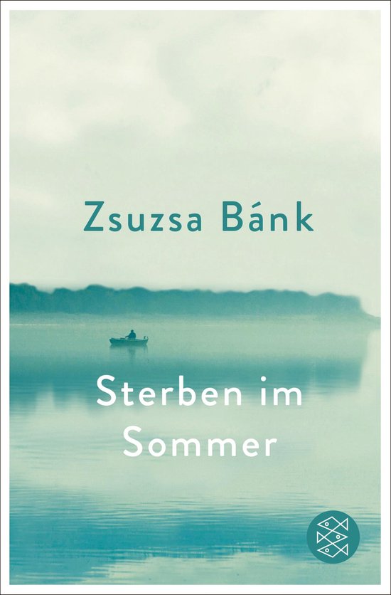 Boek 'Sterben im Sommer' van Zsuzsa Bánk. Een roeiboot met één persoon op een mistig meer.