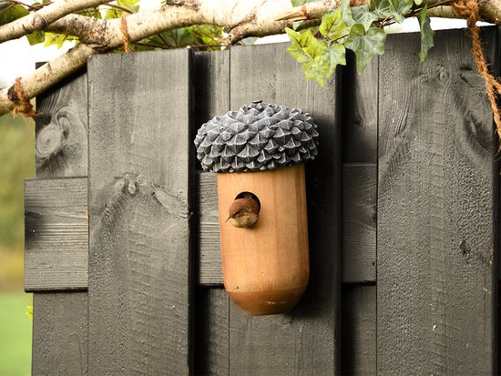 Een winterkoning kijkt uit een houten vogelhuisje in de vorm van een eikel, opgehangen aan een donker hek.