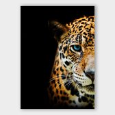 Poster Blue Eyes Leopard - Plexiglas - Meerdere Afmetingen & Prijzen | Wanddecoratie - Interieur - Art - Wonen - Schilderij - Kunst