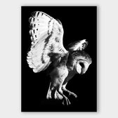 Poster Dark Owl - Dibond - Meerdere Afmetingen & Prijzen | Wanddecoratie - Interieur - Art - Wonen - Schilderij - Kunst