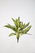 Kunstplant - Aglaonema bush - Hedera- topkwaliteit decoratie - 2 stuks - kamerplant - groen - 45 cm hoog