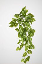 kunstplant - Pothos - Hedera- topkwaliteit plant - hangplant - licht groen - 65 cm hoog