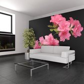 Fotobehang - Azalea in Black.