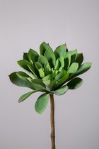 Kunstplant - Succulent - topkwaliteit decoratie - 2 stuks - zijden vetplant - Groen - 60 cm hoog