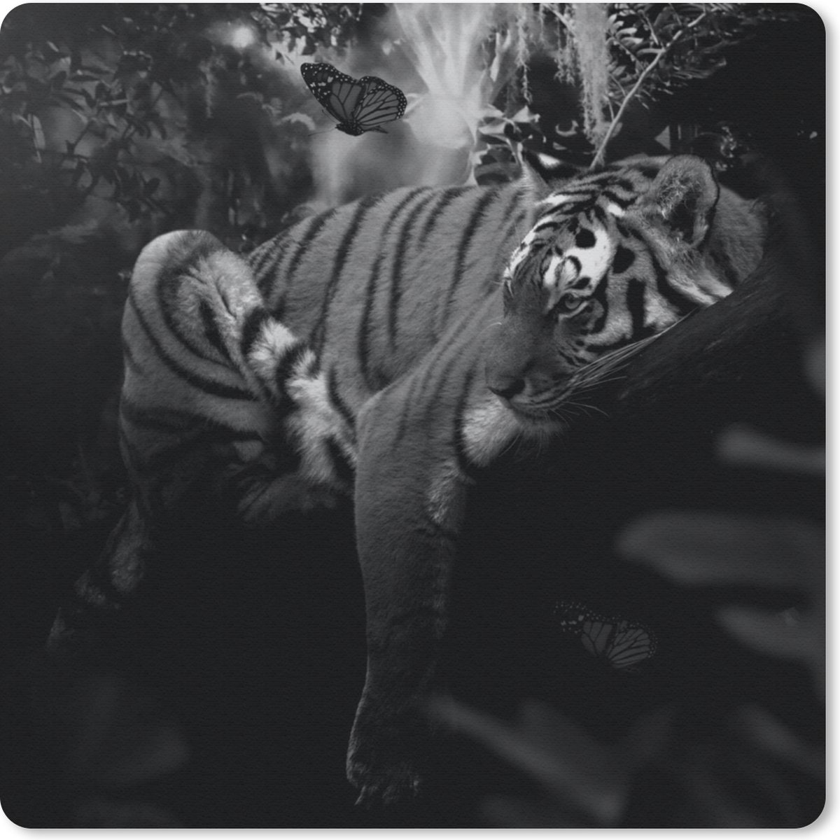 Muismat 30x30 cm - Mousepad Vlinder - Jungle - Tijger - Zwart - Wit - Muismatten