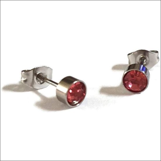 Kameel verantwoordelijkheid Verstenen Aramat jewels ® - Stalen zweerknopjes zilver roze 5mm | bol.com