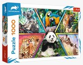 Trefl Animal Planet Puzzel Animal Kingdom 1000 Stukjes