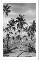 Walljar - Cocosnoot Strand - Zwart wit poster