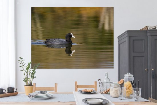 Tableau sur toile Foulque dans l'eau - 160x120 cm - Décoration murale XXL