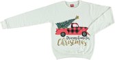 Apollo | Kersttrui dames | Multi Beige | Maat M | Driving Home for Christmas | Kersttruien | Kerst | Foute kersttrui