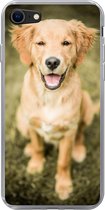 Geschikt voor iPhone 7 hoesje - Een portret van een Golden Retriever puppy in de tuin - Siliconen Telefoonhoesje