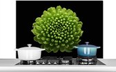 Spatscherm keuken 100x65 cm - Kookplaat achterwand Een groene chrysanthemum bloem op zwarte achtergrond - Muurbeschermer - Spatwand fornuis - Hoogwaardig aluminium