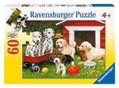 Puzzle Puppy Party