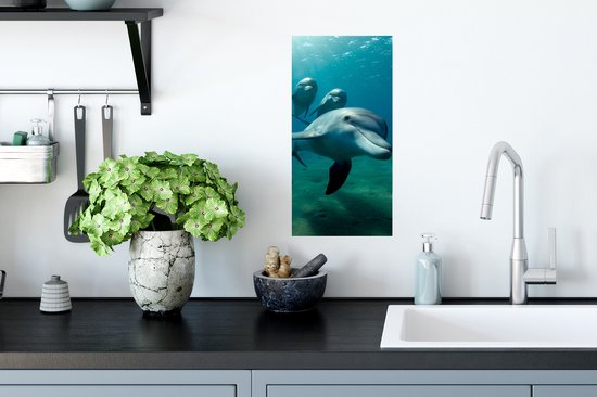 Poster Water - Dauphin - Blauw - 20x40 cm