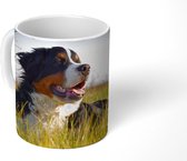 Mok - Berner Sennenhond ligt in het gras - 350 ML - Beker