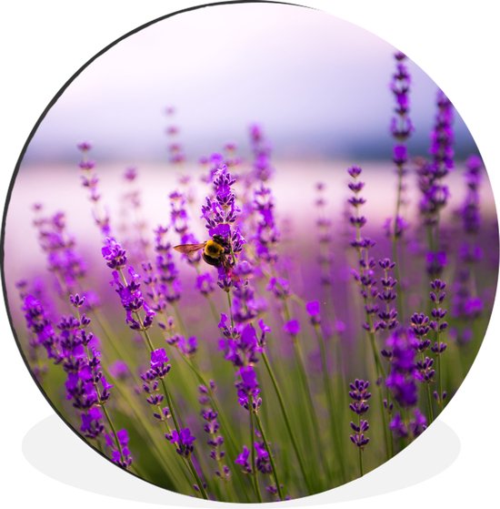 Cercle mural - Cercle mural - Lavande avec abeille - Aluminium - Dibond - ⌀ 30 cm - Intérieur et Extérieur