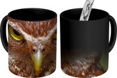 Magische Mok - Foto op Warmte Mok - Boos kijkende bruine uil - 350 ML