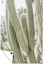 Décoration de jardin Cactus - Nature - Plante - 40x60 cm - Affiche de jardin - Toile de jardin - Affiche d'extérieur