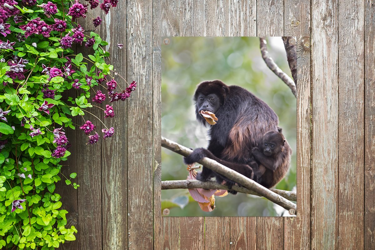 Tuin decoratie Een etende brulaap met een baby in een boom - 30x40 cm - Tuindoek