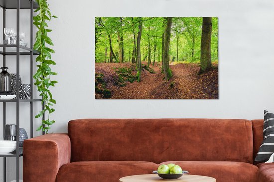 Tableau sur toile Vue de la zone boisée des Pays- Nederland - 120x80 cm - Décoration murale