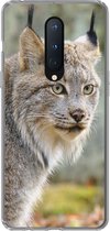 Geschikt voor OnePlus 8 hoesje - Lynx - Bos - Grijs - Siliconen Telefoonhoesje