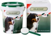 Primeval Artrose Gelatinaat - Soepele gewrichten Hond - 500 gr