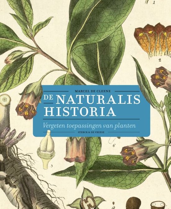 Behandeling Elastisch conversie De Naturalis Historia | 9789056157111 | Marcel Cleene | Boeken | bol.com